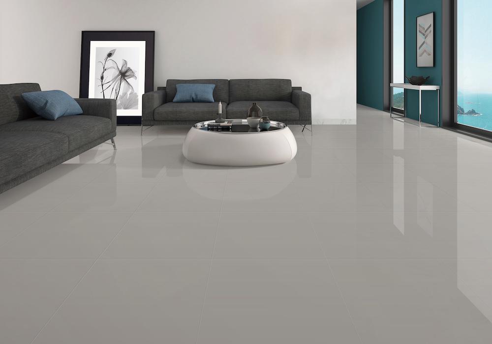 กระเบื้อง Cotto รุ่น GT TERRENIUM LIGHT GREY (POL)R/T24X24 PM 2 กระเบื้อง Cotto รุ่น GT TERRENIUM LIGHT GREY (POL)R/T24X24 PM - Image 2