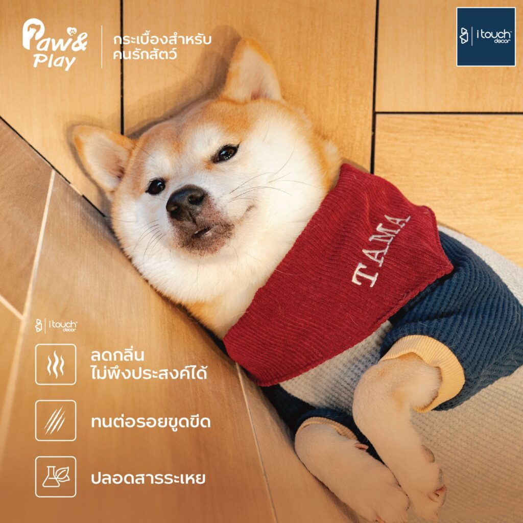 นวัตกรรมกระเบื้องเพื่อสัตว์เลี้ยง ที่ช่วยลดการลื่นล้ม "ถนอมข้อต่อ" 3 กระเบื้องเพื่อสัตว์เลี้ยง