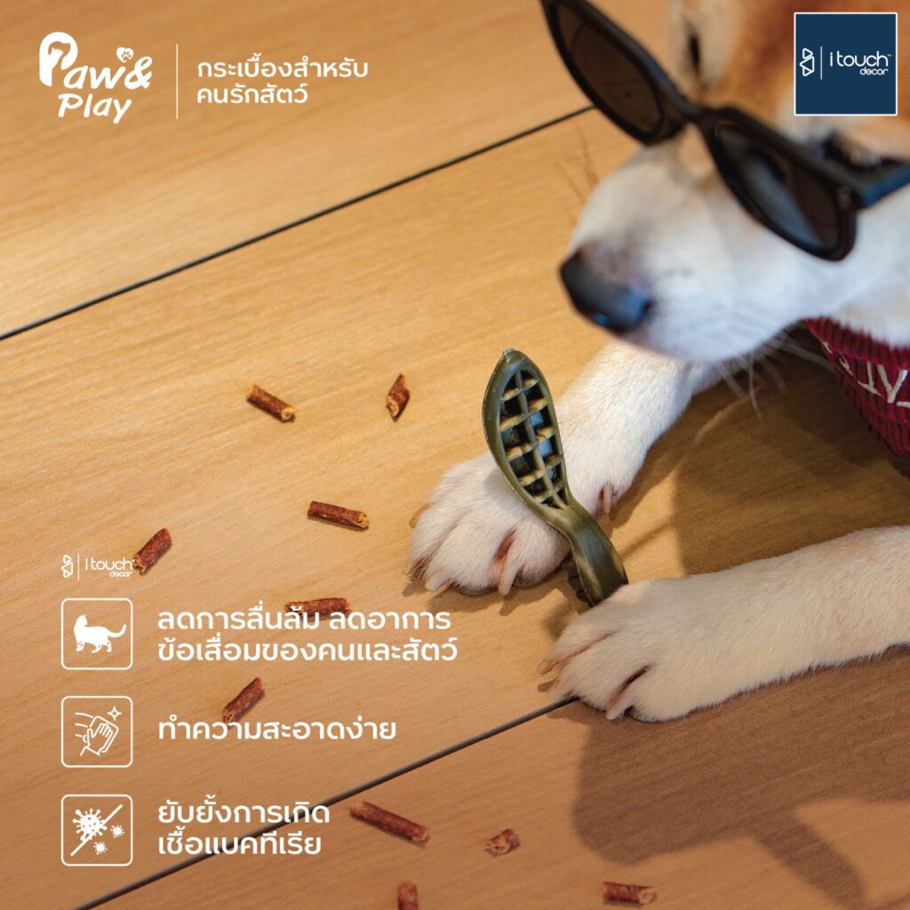 นวัตกรรมกระเบื้องเพื่อสัตว์เลี้ยง ที่ช่วยลดการลื่นล้ม "ถนอมข้อต่อ" 2 กระเบื้องเพื่อสัตว์เลี้ยง