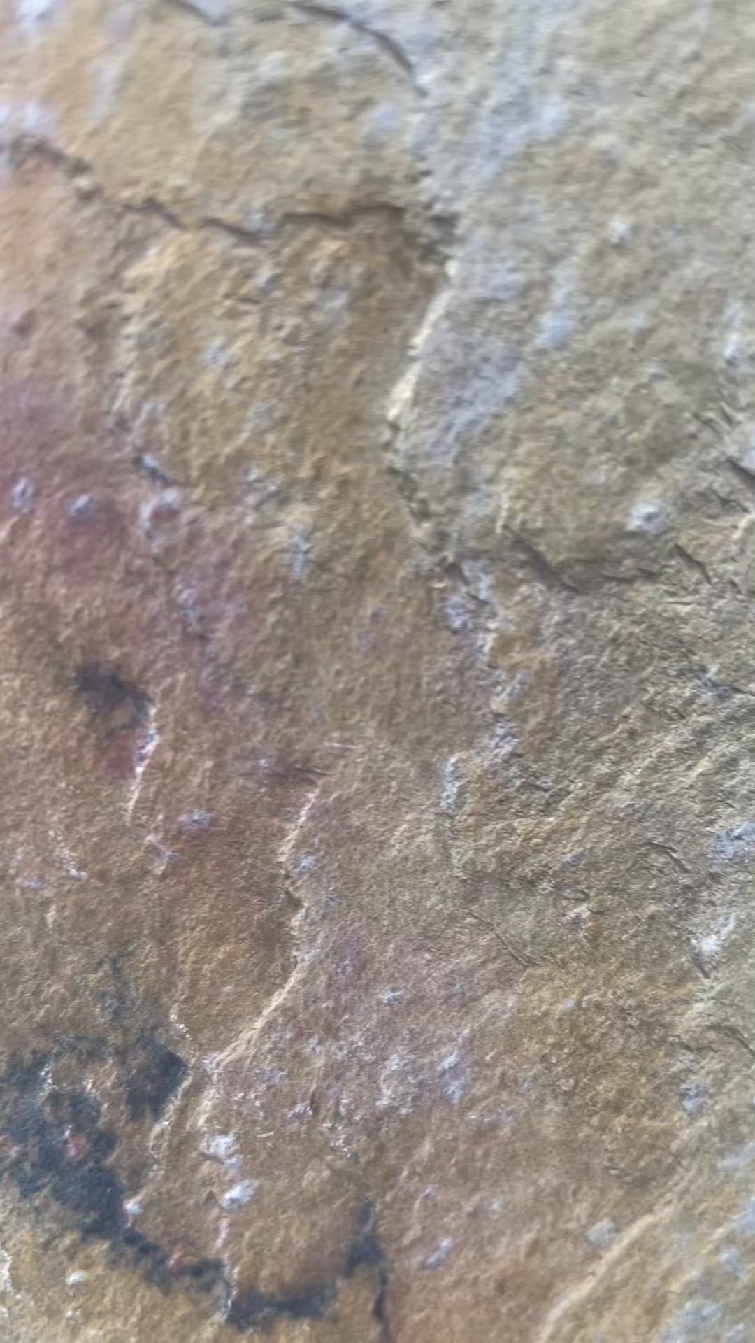 Translucent Stone Veneer